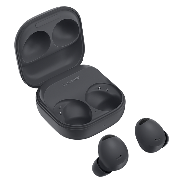 Galaxy Buds2 Pro Gray
                        image number 1